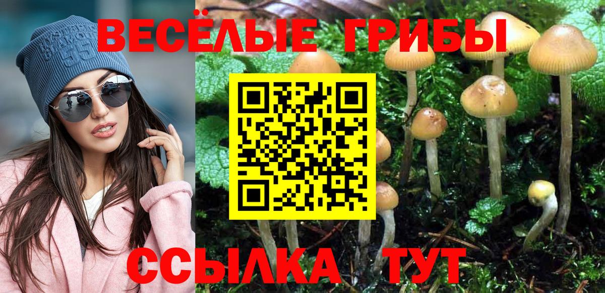 Галлюциногенные грибы ЛСД  Вход с VPN  Алатырь 